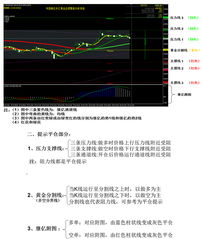 外汇分析软件 上海祺琦软件科技引领国际潮流